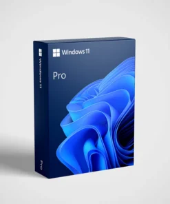 Windows 11 - Pro